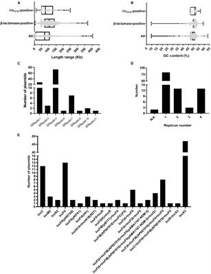 Genetic Diversity and Characteristics of blaNDM-Positive Plasmids in Escherichia coli